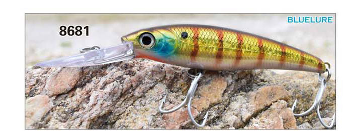 Minnow Lure 8681