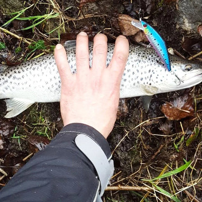 D Contact Minnow 63mm Sinking Trout Fishing Lure