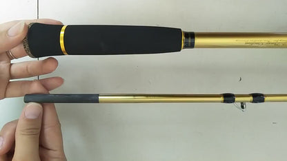Saltwater Fishing Rod TX304